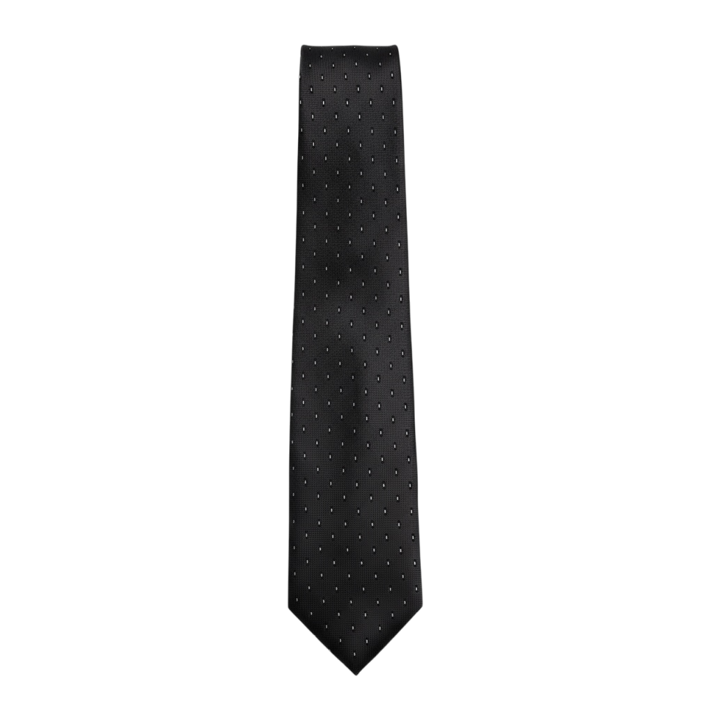 DIOR HOMME TIE