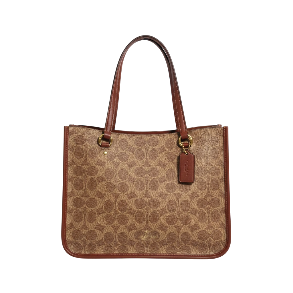 Coach Tyler Carry all bag
